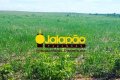 Fazenda no Tocantins