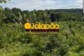 Fazenda no Tocantins