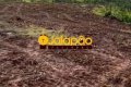 Fazenda no Tocantins
