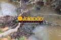 Fazenda no Tocantins
