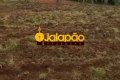 Fazenda no Tocantins