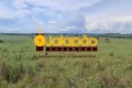 Fazenda no Tocantins 