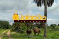 Fazenda no Tocantins