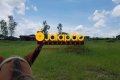 Fazenda no Tocantins