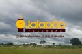 Fazenda no Tocantins