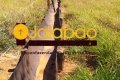 Fazenda no Tocantins