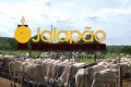 Fazenda no Tocantins