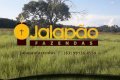 FAZENDA NO TOCANTINS