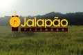 FAZENDA NO TOCANTINS