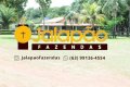 FAZENDA NO TOCANTINS 