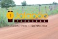 FAZENDA NO TOCANTINS 