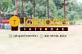 FAZENDA NO TOCANTINS 
