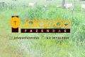 FAZENDA NO TOCANTINS 