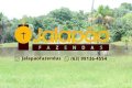 FAZENDA NO TOCANTINS 
