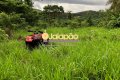 FAZENDA NO TOCANTINS 