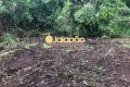 FAZENDA NO TOCANTINS 