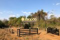 FAZENDA NO TOCANTINS 