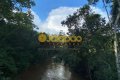 FAZENDA NO TOCANTINS