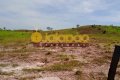 FAZENDA NO TOCANTINS
