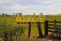 FAZENDA NO TOCANTINS
