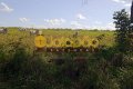 FAZENDA NO TOCANTINS