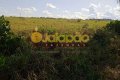 FAZENDA NO TOCANTINS
