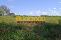 FAZENDA NO TOCANTINS