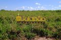 FAZENDA NO TOCANTINS