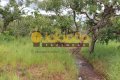 FAZENDA NO TOCANTINS