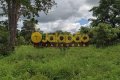 FAZENDA NO TOCANTINS