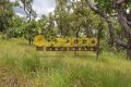 FAZENDA NO TOCANTINS