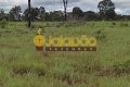 FAZENDA NO TOCANTINS