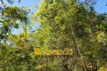 FAZENDA NO TOCANTINS