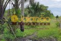 FAZENDA NO TOCANTINS