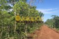 FAZENDA NO TOCANTINS