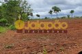 FAZENDA NO TOCANTINS