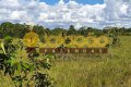 FAZENDA NO TOCANTINS