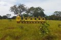 FAZENDA NO TOCANTINS
