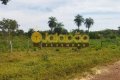 FAZENDA NO TOCANTINS