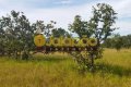 FAZENDA NO TOCANTINS