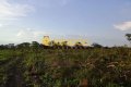 FAZENDA NO TOCANTINS