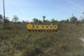 FAZENDA NO TOCANTINS