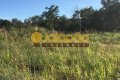 FAZENDA NO TOCANTINS