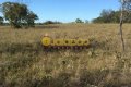 FAZENDA NO TOCANTINS