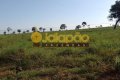 FAZENDA NO TOCANTINS