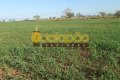 FAZENDA NO TOCANTINS