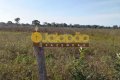FAZENDA NO TOCANTINS
