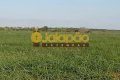 FAZENDA NO TOCANTINS