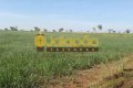 FAZENDA NO TOCANTINS