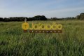 FAZENDA NO TOCANTINS